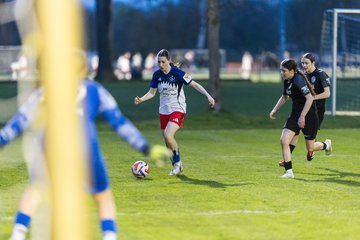 Bild 324 - wBJ Hamburger SV - Eimsbuettler TV : Ergebnis: 4:0